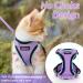 Rabbitgoo Cat Dishes & Harness Sets | Premium Cat Accessories for Happy Pets - Buy Online on GoSupps.com