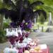 30pcs Black Ostrich Feathers 10-12 Inch - Ideal for Crafts & Decorations - Buy Online on GoSupps.com