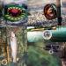 Maxcatch ECO Floating Fly Fishing Line | Weight Forward Design | Welded Loop | Moss Green WF3F-100FT - Buy Online on GoSupps.com