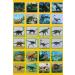 Georgie Porgy Children Projector Flash Lamp - Dinosaur Wall & Ceiling Decor for Kids | Enhances Hand-Eye Coordination & Science Learning - Buy Online on GoSupps.com