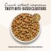 Whole Food Clusters Grain-Free Chicken Dry Cat Food 4lb - The Honest Kitchen - Buy Online on GoSupps.com