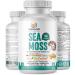 Organic Irish Sea Moss Pills - Wildcrafted Dr Sebi Inspired Seamoss Blend with Turmeric Burdock Root & Bladderwrack Enhanced with Black Pepper - 60 Capsules 60 Count (Pack of 1)