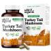 Wild & Organic Turkey Tail Mushroom Capsules 1000 mg - Immune Support - Turkey Tail Mushroom Powder Supplement - Coriolus Versicolor Mycelium Extract - Vegan No Fillers Non-GMO - 180 Count 180 Count (Pack of 1)