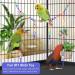 Bissap Plastic Chain Links Birds 250pcs - Mix Color Rainbow DIY C-Clips for Swing Climbing Cage Toys - Ideal for Sugar Gliders, Rats, Parrots, Birds - Children's Learning Toy - Buy Online on GoSupps.com