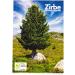 Sagl.Tirol Swiss Stone Pine Fragrance Set - Organic Pine Oil & Shavings for a Natural Aroma Experience - Buy Online on GoSupps.com