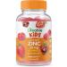 Lifeable Probiotic 2 Billion CFU Kids + Zinc 25mg Kids Gummies Bundle - Great Tasting Vitamin Supplement Gluten Free GMO Free Chewable Gummy - Buy Online on GoSupps.com