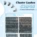 KevKev 540 Pcs D Curl Individual Lash Clusters | Wispy & Natural Look | DIY Extensions | 4 Styles (D-Mix 8-16mm) - Buy Online on GoSupps.com