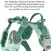 Hurtta Weekend Warrior Dog Harness - Park Camo (99-119 cm / 39-47 in) | Premium Quality for Your Dog | International Shipping Available - Buy Online on GoSupps.com