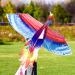 Shop Mints Colorful Life Rainbow Phoenix Kite - Easy to Fly Large Beach Kites for Kids & Adults | International Shipping Available - Buy Online on GoSupps.com