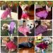 Hylyun 4 Pieces Knitted Dog Sweaters for Small & Medium Dogs | Warm Winter Clothing for Puppies & Cats | Soft & Comfortable Dark Colors - Buy Online on GoSupps.com
