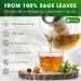 Lavendium Premium 30 Sage Leaf Tea Bags 100% Natural & Pure from Sage Leaves. Loose Leaf Sage Herbal Tea. Made with Natural Material Tea Bags. No Sugar No Caffeine No Gluten Vegan. CA Sage 30 Bags - Buy Online on GoSupps.com