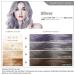 HJL Silver Hair Dye | Permanent Ammonia-Free Color with Comb Applicator | Easy-to-Use Hair Coloring Cream Kit - Buy Online on GoSupps.com