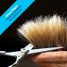Equinox Professional Razor Edge Hair Cutting Scissors Set - 6.5 Inches - Barber Shears Kit for Men/Women - Silver - Buy Online on GoSupps.com
