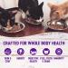 Wellness Healthy Indulgence Natural Grain Free Wet Cat Food - Chicken & Turkey Morsels 3oz Pouch (Pack of 24) - Buy Online on GoSupps.com
