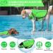 Alagirls Adjustable Pet Life Jacket for Dogs | Ripstop Dog Life Vest with Rescue Handle | Sizes S to L - Green - Buy Online on GoSupps.com