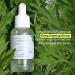 MEDITHERAPY Mugwort D-Panthenol Calming Serum 30ml - High Concentration Vitamin B5 for Skin Barrier & Deep Calming | Pure Korean Skincare - Buy Online on GoSupps.com