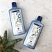 Andalou Naturals Age Defying Conditioner for Thinning Hair with Argan Stem Cells - 11.5 fl oz - Buy Online on GoSupps.com