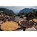 Kaphi Beans Roasted Coffee - Antigua Guatemala - Medium Roast - 100% Arabica Beans - Freshly Roasted Whole Beans (Pack Of 1kg) - Buy Online on GoSupps.com