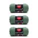 Red Heart Super Saver Light Sage Yarn - 3 Pack of 198g/7oz - Acrylic - 4 Medium (Worsted) - 364 Yards - Knitting/Crochet Light Sage Solid