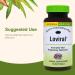 Herbs Etc. Loviral - Lung Health Supplement for Respiratory Defense & Support - Herbal Supplement with Lomatium Pelargonium & OSHA - Gluten-Free - 60 Softgels (60 Servings) - Buy Online on GoSupps.com