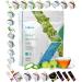 unionaren Fuxion Vera+ Herbal Mint Tea w. Natural Ingredients Aloe Vera Extract Vitamin C-Maintain a Strong Immune System Increases Resistance to Seasonal -1 Pouch of 28 Sticks