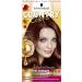 Buy Schwarzkopf Country Colors Intensive Tint 66 Peru Nougat Brown - 122.5 ml | International Shipping Available - Buy Online on GoSupps.com