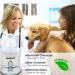 Hypochlorous Acid 500PPM Surface Cleaner (1 Gallon) for Dental & Medical Pros | All Natural HOCL for ULV Fogging | Made in USA - Buy Online on GoSupps.com
