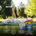 Vita PLAISIR DE VIVRE SOD de melon Compl ment alimentaire pour le bien- tre de l esprit et du corps fatigue moral Vitamine B6 B9 B12 Zinc Levure de S l nium 60 G lules - Buy Online on GoSupps.com