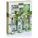 Brubaker Cosmetics 2-in-1 Care Set - Lavender & Aloe Vera - 15-Part Ladies Shower & Swimming Beauty Gift Set with Decorative Wooden Cabinet - Buy Online on GoSupps.com