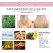 Rosemary Hair Oil - Natural Pure Essential Oil for Hair Growth & Skin Care | Cypreason - Buy Online on GoSupps.com