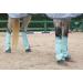 Horse Fly Boots - Premium Leg Bandages for Maximum Protection | Set of 4 Blue Pony Fly Boots - Buy Online on GoSupps.com