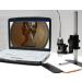 Dino-Lite Premier AM4113TL-M40 1x-37x Long Working Distance Microscope - Buy Online on GoSupps.com