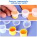 FengWu 3ML Empty Paint Strips with Lids - 100 Mini Plastic Cups for Arts & Crafts - Clear Storage Containers for Schools & Festivals - 600 Pots - Buy Online on GoSupps.com