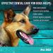 Pet MD Dental Wipes for Dogs - Tartar & Plaque Remover, Fresh Apple & Mint Scent - 100 Count - Buy Online on GoSupps.com