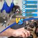 Buy Ovtexzog Dog Care Hammock Harness - Nail Claw Cutting Tool for Small Dogs (Up to 6kg) - Blue - International Shipping Available - Buy Online on GoSupps.com