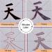 Reusable Chinese Magic Cloth Water-Paper Set for Beginners | Chinese Calligraphy Practice Kit - Buy Online on GoSupps.com