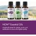 NOW Essential Oils Lemon & Eucalyptus Oil Blend Invigorating Aromatherapy Scent Blend of Pure Lemon Oil and Pure Eucalyptus Oil Vegan Child Resistant Cap 4-Ounce 4 Fl Oz (Pack of 1) - Buy Online on GoSupps.com