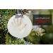 Baby Handprint Footprint Keepsake Ornament Kit - Makes 2 | Non-Toxic Clay, Air-Dries Soft | Personalized Newborn Gift with Bonus Stencil & Easels - Buy Online on GoSupps.com