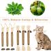 Dacitiery Silvervine Chew Sticks Cat Toys 6 Pack Natural Cat Teeth Nip Cleaning Teeth Chew Catnip Toys for Indoor Cat Teeth Cleaning Kitten Teething and Stress Release - Buy Online on GoSupps.com