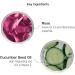Super Facialist Rosehip Hydrate Radiance Day Cream SPF15 - 75ml - Buy Online on GoSupps.com