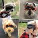 NAMSAN Medium Dog Goggles | Anti-UV Glare Sunglasses for Small to Medium Dogs | Adjustable Motorcycle Glasses for Doggy Eye Protection - Buy Online on GoSupps.com