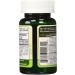 Nature's Truth Iron 65 mg - 120 Coated Tablets | Supports Energy & Wellness - Buy Online on GoSupps.com