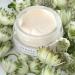 Alpyn PlantGenius Line-Filling Eye Balm - Reduce Fine Lines Puffiness & Dark Circles | 0.5 oz / 14 ml - International Shipping Available - Buy Online on GoSupps.com