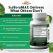 SulforaMAX (60 Capsules) - Sulforaphane Broccoli Immunity Supplement - Immune Support Heart Liver Brain Health - Vegan Vegetarian Non-GMO 10 000 MCG Sulforaphane 60 Count (Pack of 1) - Buy Online on GoSupps.com
