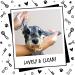 BUGALUGS Dog Shampoo Luxury 2 in 1 Papaya & Coconut dog grooming shampoo products for smelly dogs with fragrance best puppy shampoo professional groom Vegan pet shampoo & conditioner Shampoo 1x500ml - Buy Online on GoSupps.com