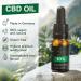 CBD Oil 10% - ApolloCBD - Full Spectrum - CBD - Premium Natural & Lab Tested-10ml-250 drops - Buy Online on GoSupps.com