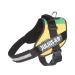 IDC Powerharness Size: 2XL/3 Lithuanian Colors Lithuanian Colors 2XL/3