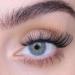 SWEED Iconic False Lashes | Vegan & Cruelty-Free | Clean Beauty | International Shipping - Buy Online on GoSupps.com