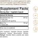 Solgar Green Tea Extract 60 Veg Capsules - Premium Antioxidant Supplement - Buy Online on GoSupps.com
