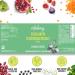VITABAY High-Dose Vegan Iron Capsules - 240mg Iron Bisglycinate - Natural Iron Supplement - 2 Sets of 120 Tablets - International Shipping Available - Buy Online on GoSupps.com